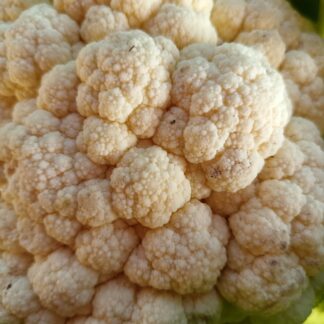 Thumbnail of the "Choux-fleur Bio" product