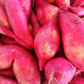 Thumbnail of the "Patate douce Bio" product