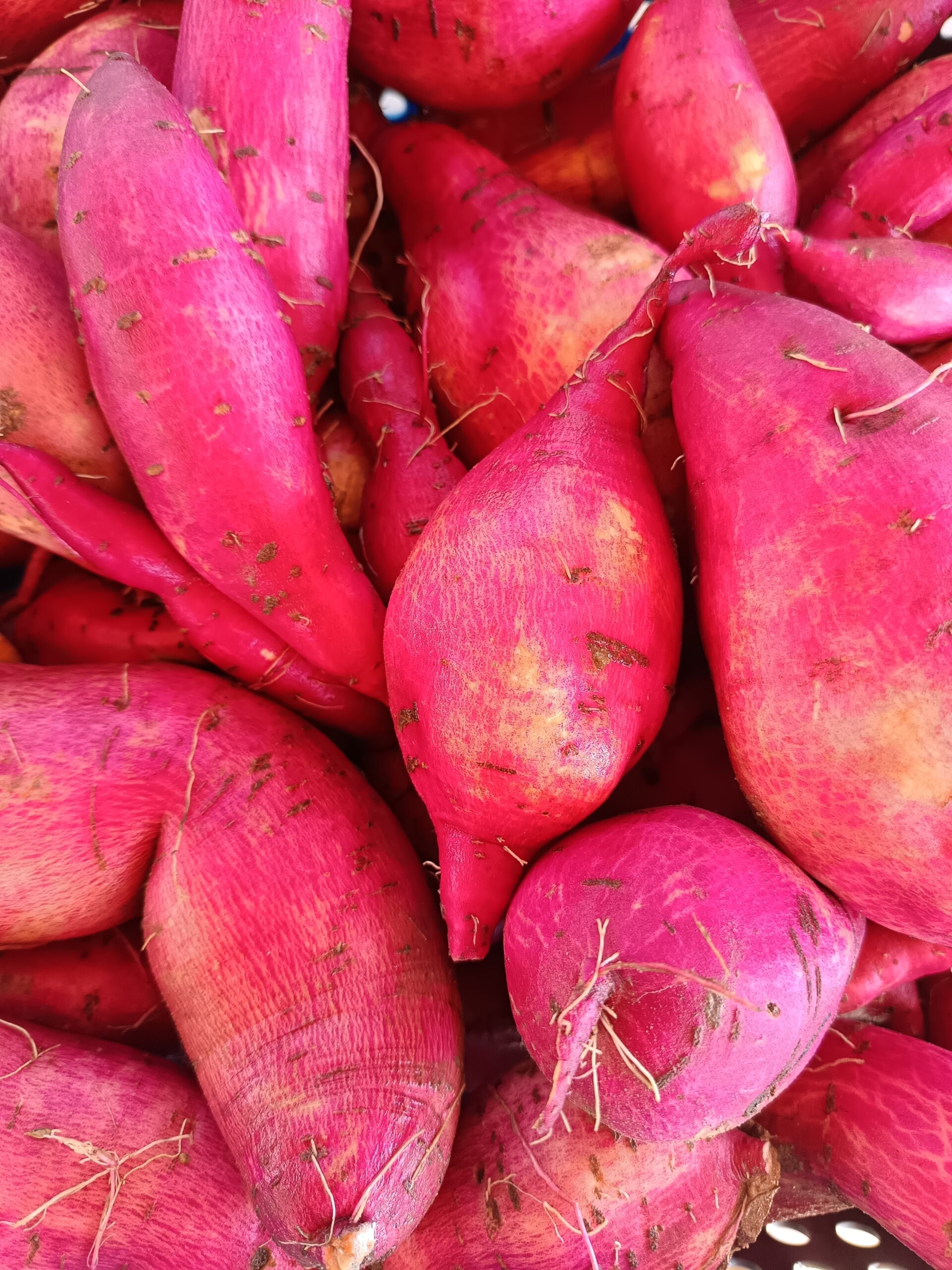 Patate douce Bio Thumbnail of the "Patate douce Bio" product