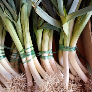 Thumbnail of the "Poireaux Bio" product