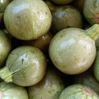 Thumbnail of the "Courgette ronde Bio" product
