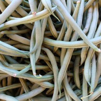 Thumbnail of the "Haricot vert bio" product