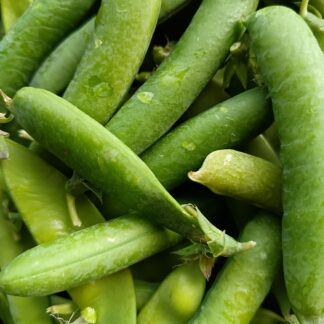 Thumbnail of the "Petits-pois Bio" product