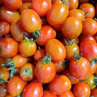 Thumbnail of the "Tomate cerise bio" product