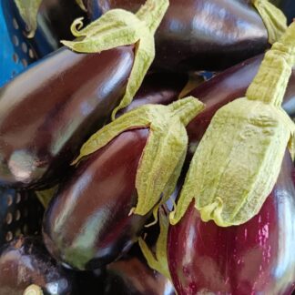 Thumbnail of the "Aubergine Bio" product