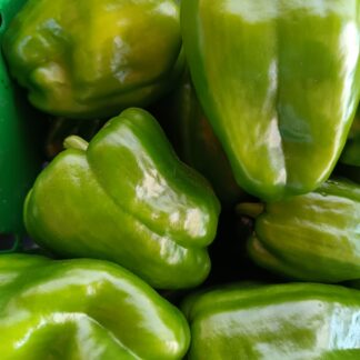 Thumbnail of the "Poivron Bio" product
