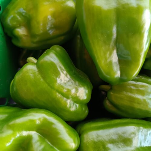 Thumbnail of the "Poivron Bio" product