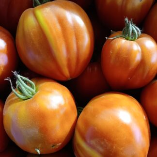Thumbnail of the "Tomates cœur de boeuf Bio" product