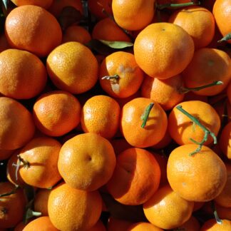 Thumbnail of the "Clémentines Corse Bio" product